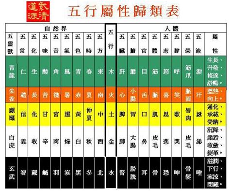 個人五行屬性|五行測試：你屬哪一行？